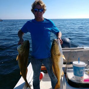 Meet your Posher, Dustin